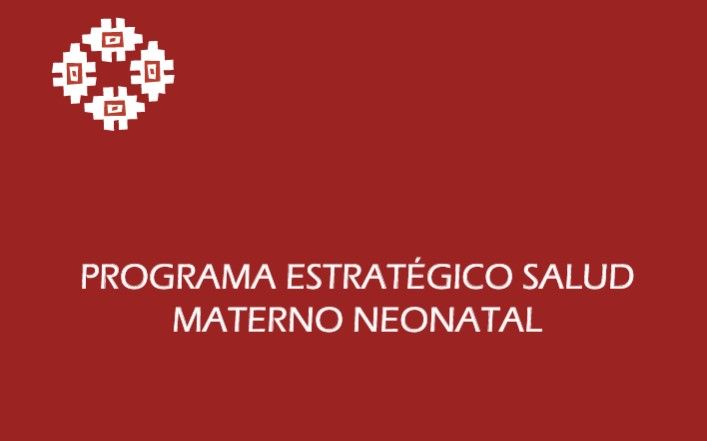 <p><strong style="color: var(--tw-prose-bold);">Programa de Salud Materno Neonatal</strong></p>