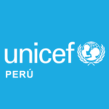 <h5><strong style="color: var(--tw-prose-bold);">UNICEF Perú</strong><strong>: </strong></h5>